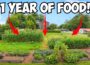 How a 1/8 Acre Garden Feeds a Family of 6 ALL YEAR!