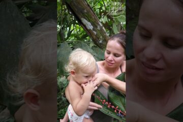 Wild Berry Taste Off Grid Living